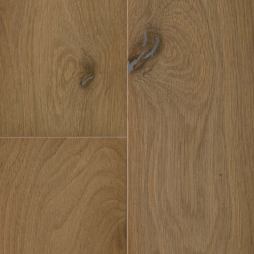 Carbonized Carbonized