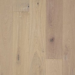 Iceland Oak